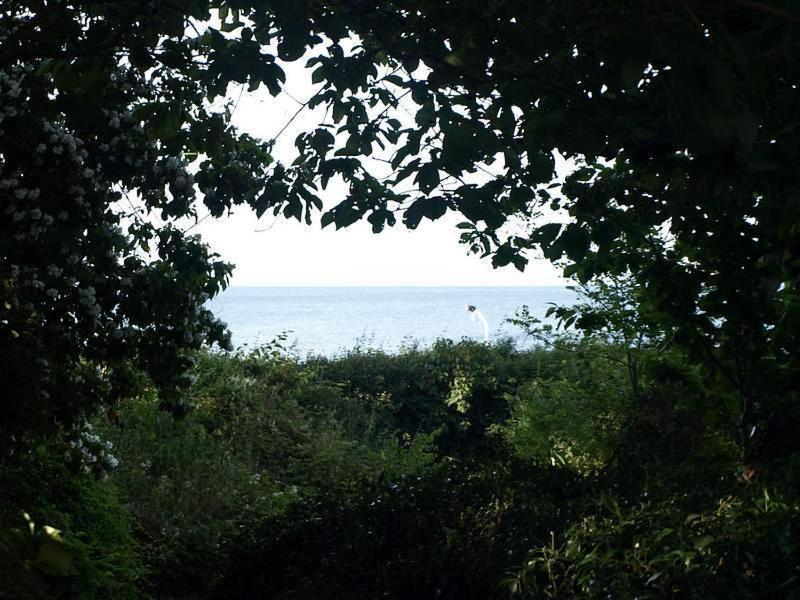Danchelshus Bed and Breakfast Allinge-Sandvig Εξωτερικό φωτογραφία