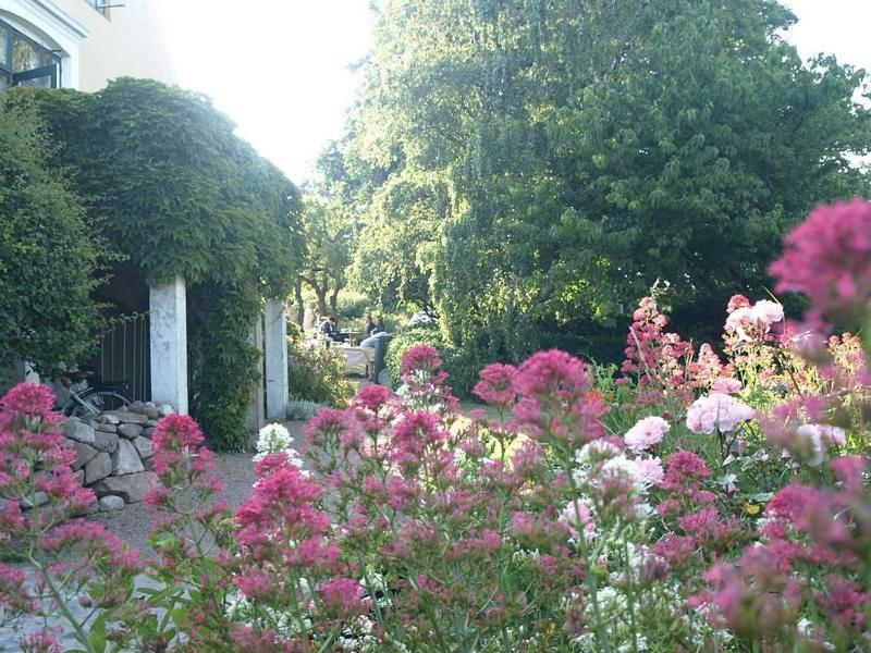 Danchelshus Bed and Breakfast Allinge-Sandvig Εξωτερικό φωτογραφία